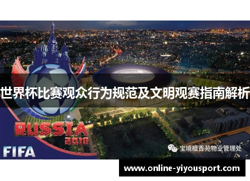 世界杯比赛观众行为规范及文明观赛指南解析
