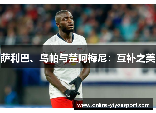 萨利巴、乌帕与楚阿梅尼：互补之美